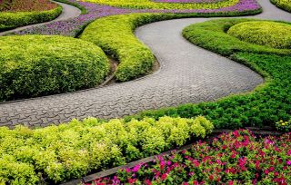 jardin con caminos y flores